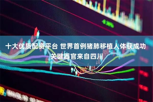 十大优质配资平台 世界首例猪肺移植人体获成功 关键器官来自四川