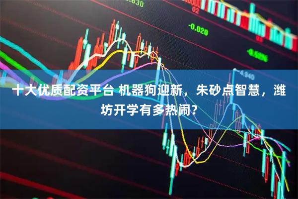 十大优质配资平台 机器狗迎新，朱砂点智慧，潍坊开学有多热闹？