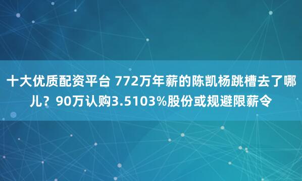 十大优质配资平台 772万年薪的陈凯杨跳槽去了哪儿？90万认购3.5103%股份或规避限薪令