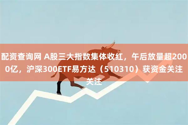 配资查询网 A股三大指数集体收红，午后放量超2000亿，沪深300ETF易方达（510310）获资金关注