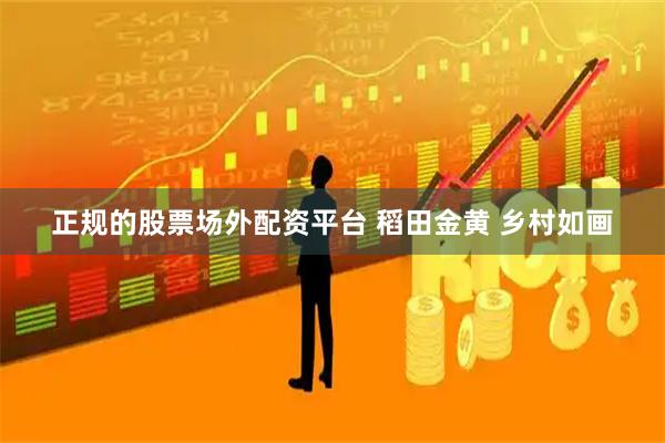 正规的股票场外配资平台 稻田金黄 乡村如画
