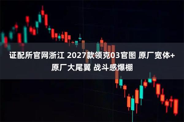 证配所官网浙江 2027款领克03官图 原厂宽体+原厂大尾翼 战斗感爆棚